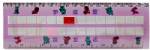 PEZ - cm / inch ruler pig purple